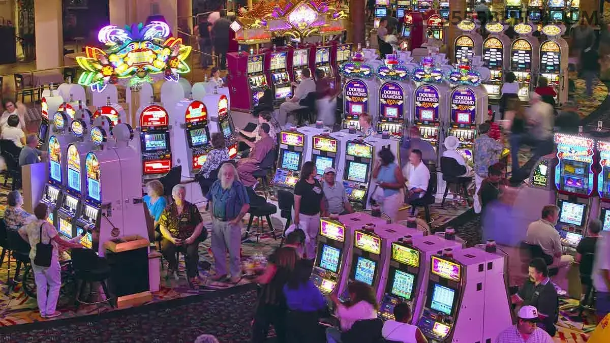 App 5555bet slots mobile